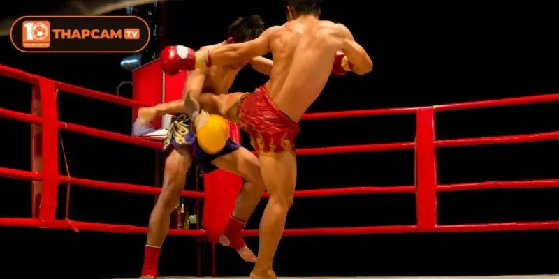 Muay Thái Là Gì? Tìm Hiểu Chi Tiết Về Môn Võ Thực Chiến 4 Quy tắc thi đấu của môn võ truyền thống Thái Lan